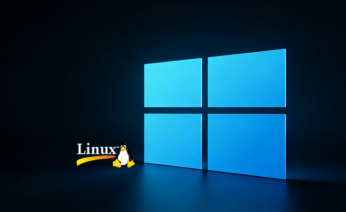 Linux系统